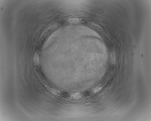 X0000071860705200607290157