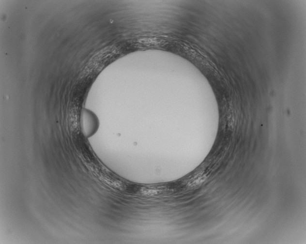 X0000071860706200607290157