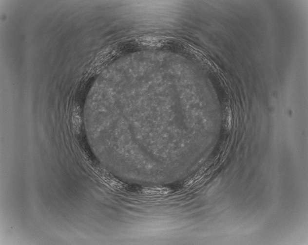 X0000071860707200607290157