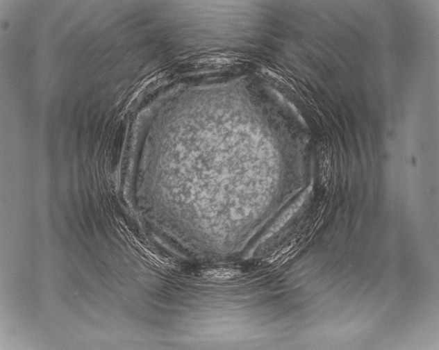 X0000071860708200607290157