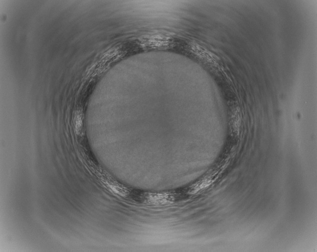 X0000071860709200607290157