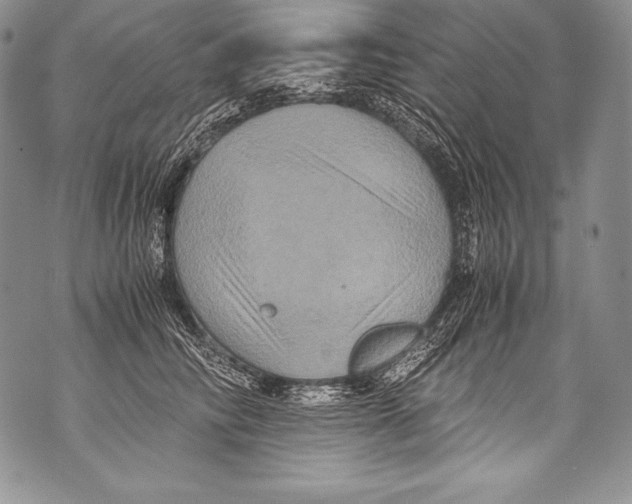 X0000071860710200607290157