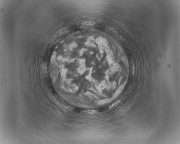 X0000071860711200607290157