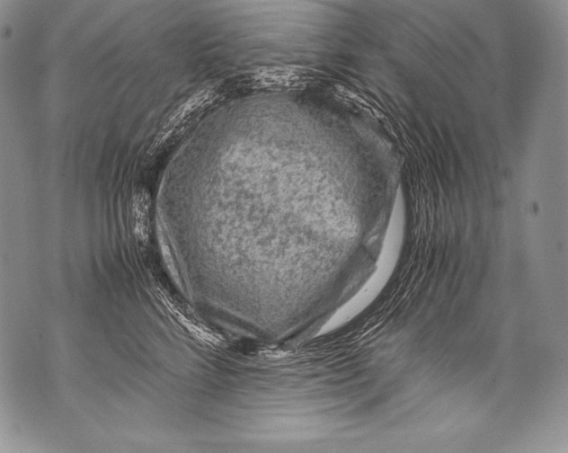 X0000071860712200607290157