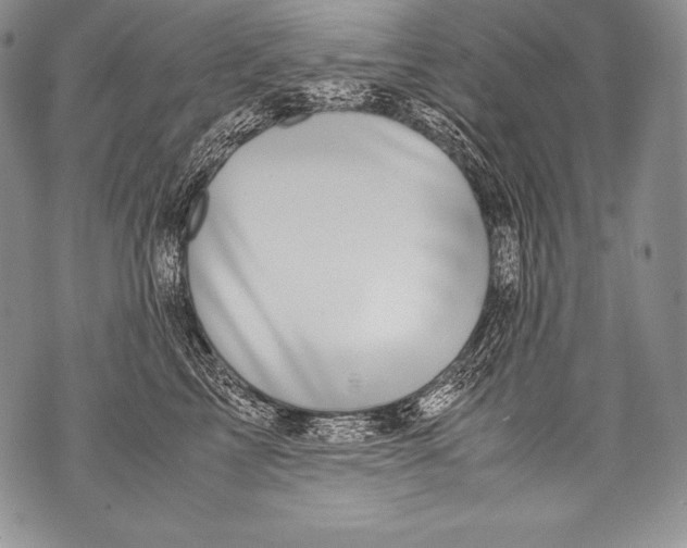 X0000071860713200607290157