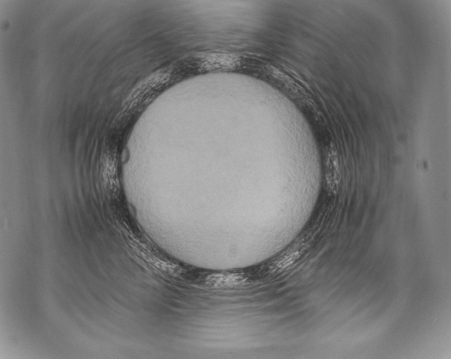 X0000071860714200607290157