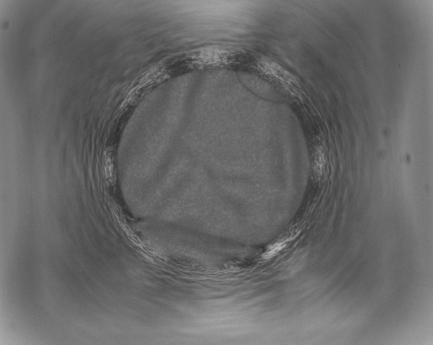 X0000071860715200607290157