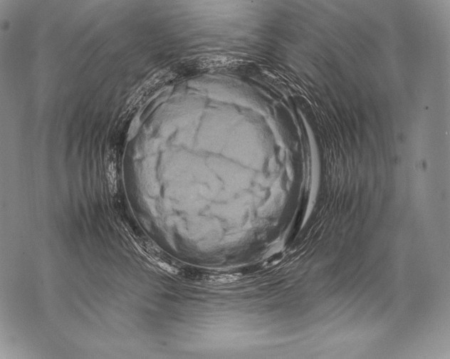 X0000071860716200607290157