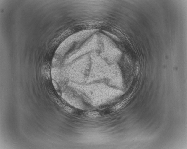 X0000071860719200607290157