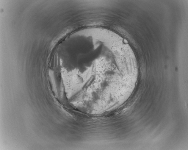 X0000071860721200607290156