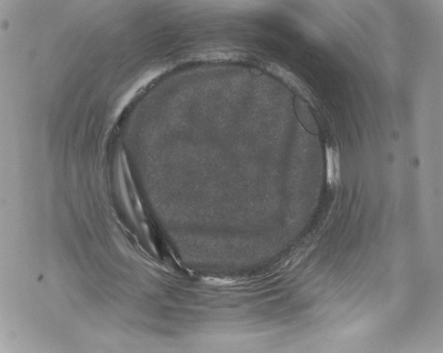 X0000071860723200607290156