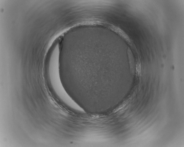 X0000071860724200607290156