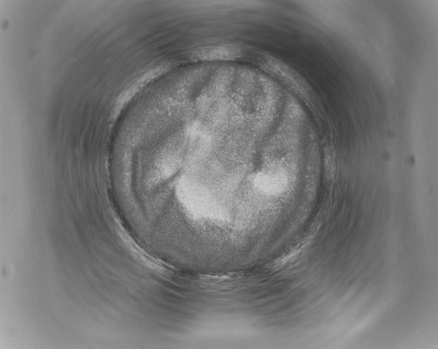 X0000071860725200607290156