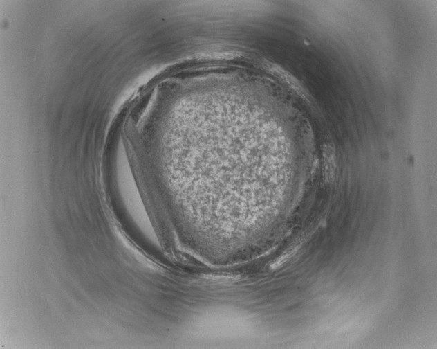 X0000071860726200607290156