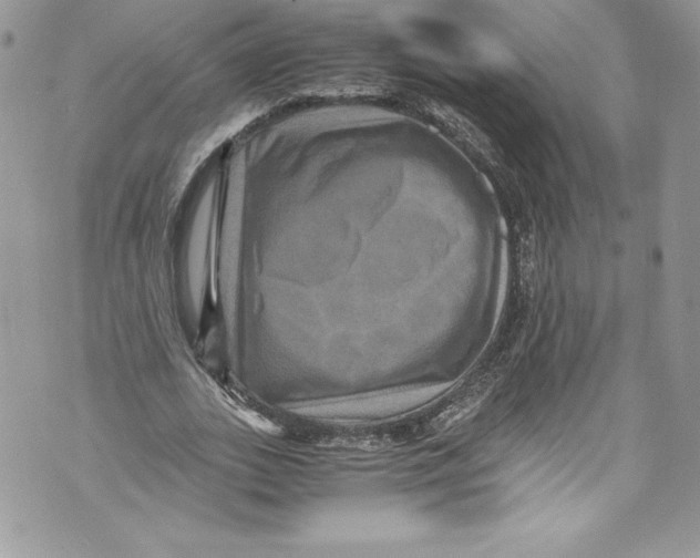 X0000071860727200607290156