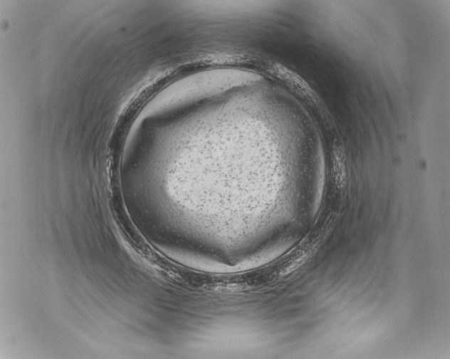 X0000071860730200607290156