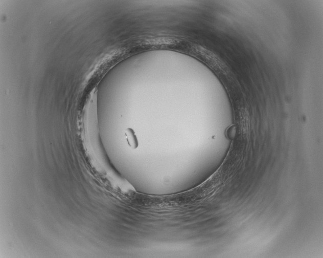 X0000071860731200607290156