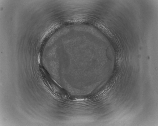 X0000071860735200607290157