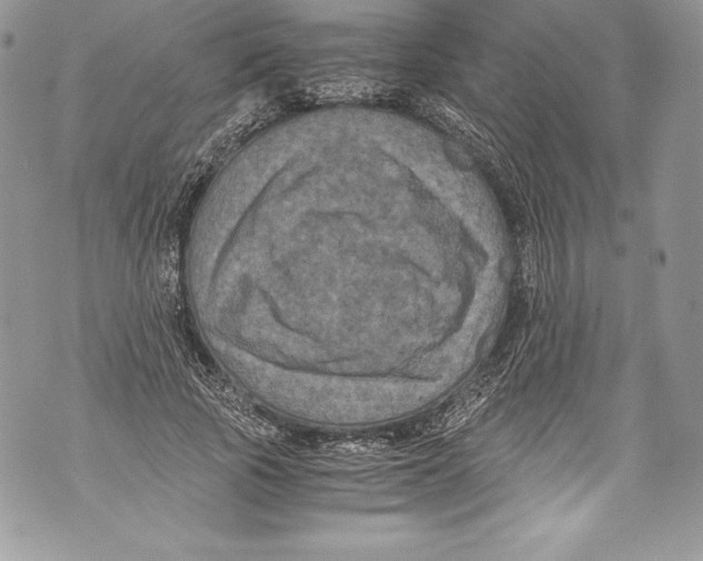 X0000071860737200607290157