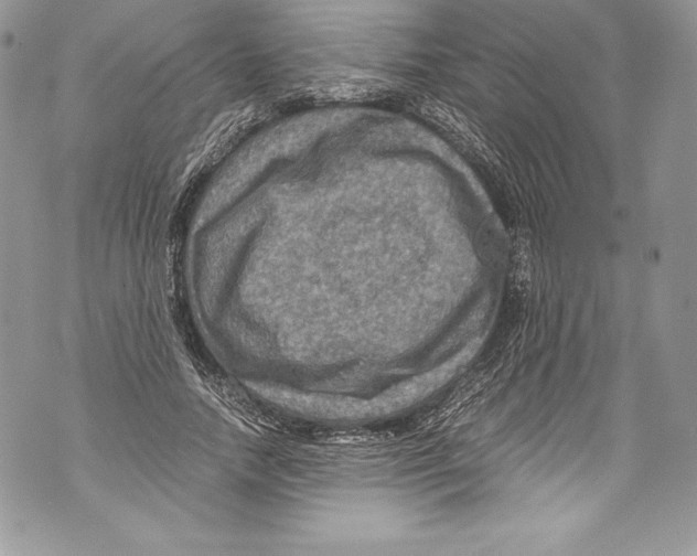 X0000071860738200607290157