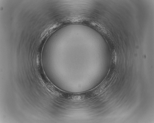 X0000071860740200607290157