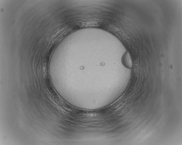 X0000071860741200607290157