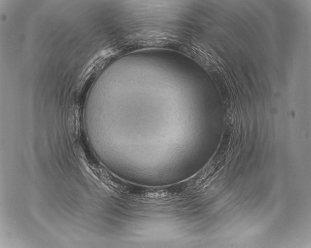 X0000071860744200607290157