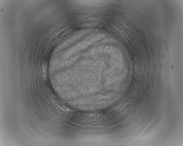 X0000071860745200607290157