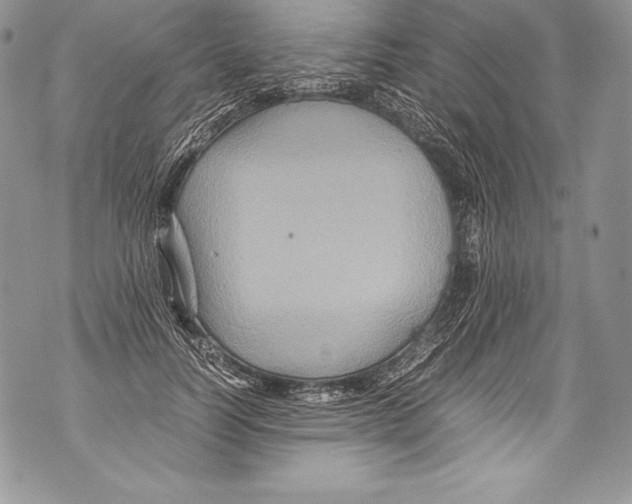 X0000071860746200607290157