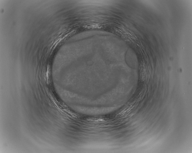 X0000071860747200607290157