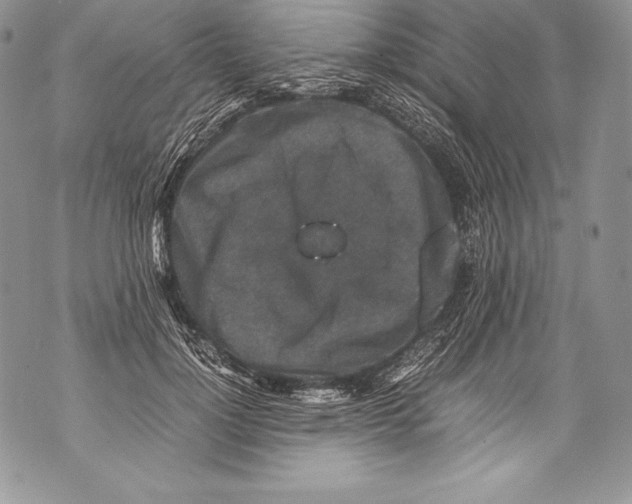 X0000071860748200607290157