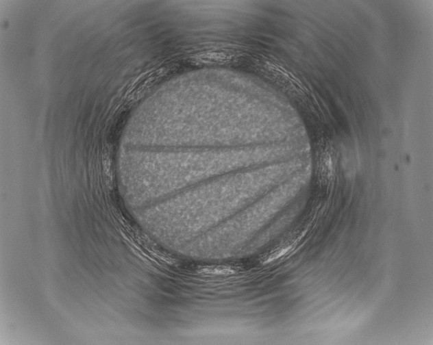 X0000071860749200607290157