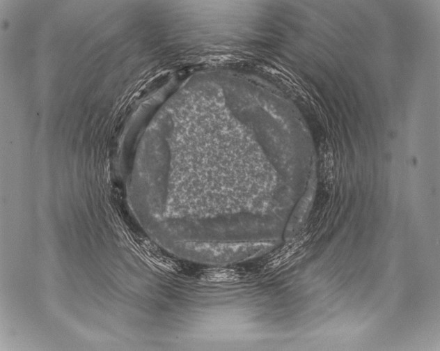 X0000071860750200607290157