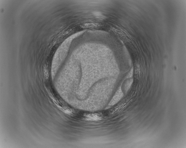 X0000071860751200607290157