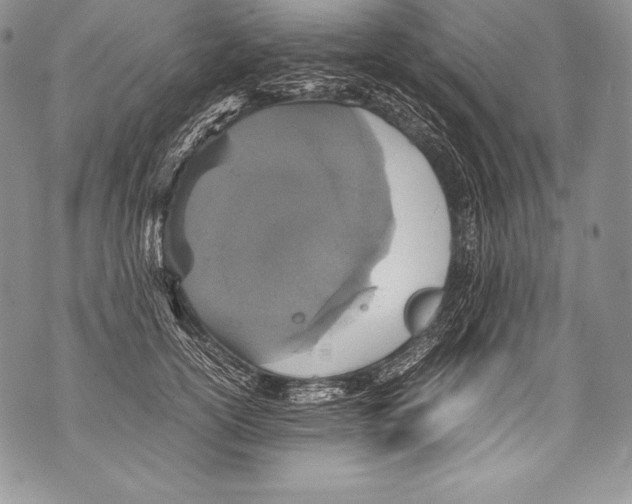 X0000071860754200607290157