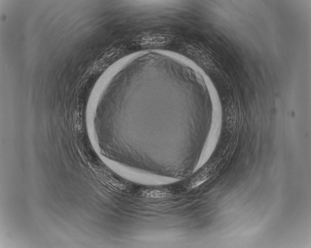 X0000071860755200607290157