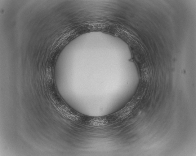 X0000071860756200607290157