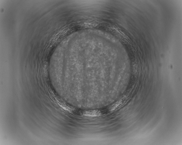 X0000071860757200607290157