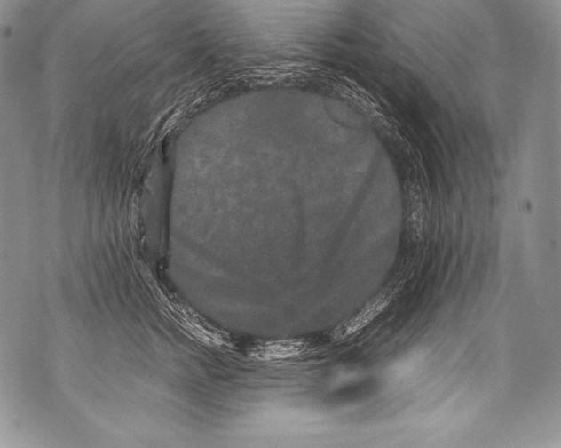 X0000071860758200607290157