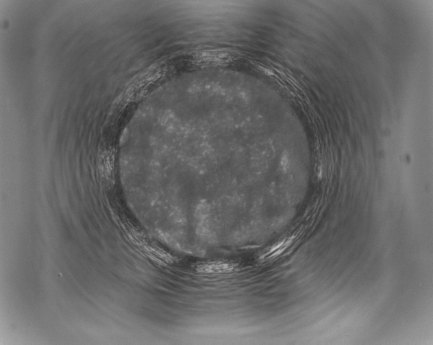 X0000071860759200607290157