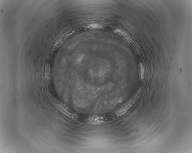 X0000071860760200607290157