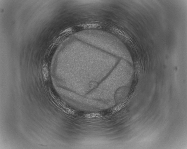 X0000071860761200607290157