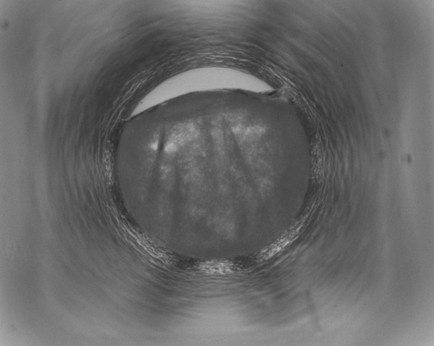 X0000071860762200607290157