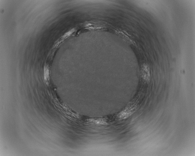 X0000071860763200607290157