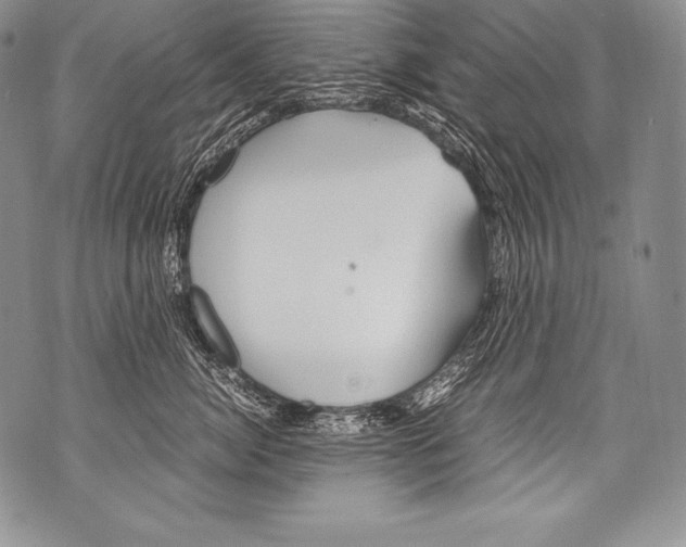 X0000071860764200607290157