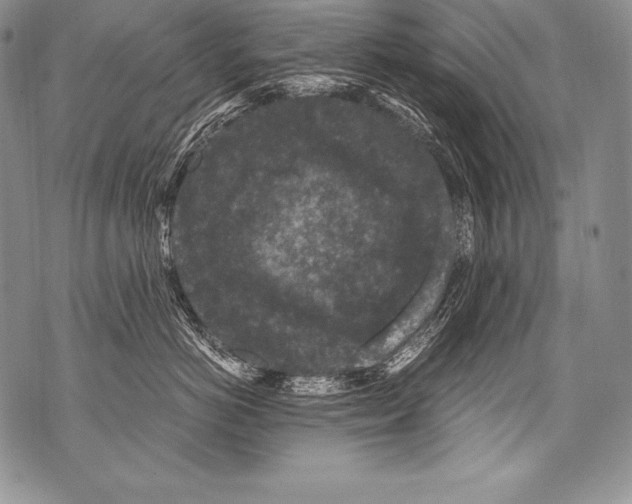 X0000071860766200607290157