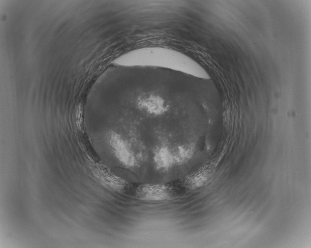 X0000071860767200607290157