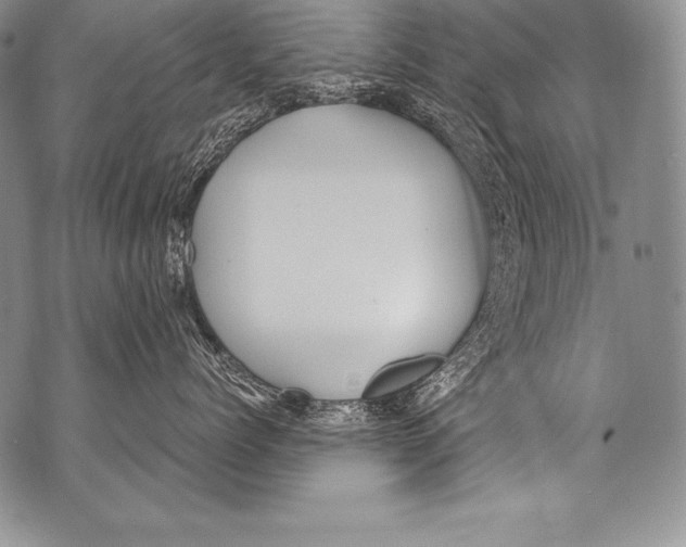 X0000071860768200607290157