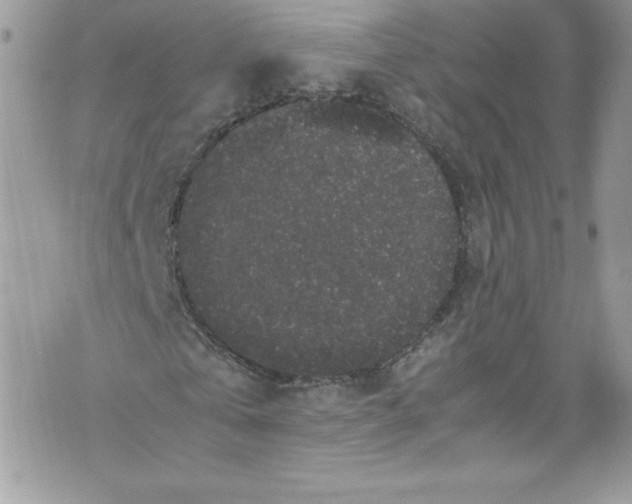 X0000071860769200607290156