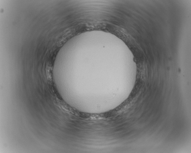 X0000071860770200607290156